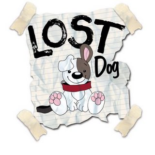 lostdog