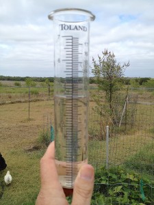 This was my rain gauge last Sunday, showing the total up to that point.